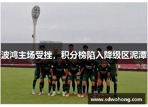 波鸿主场受挫，积分榜陷入降级区泥潭